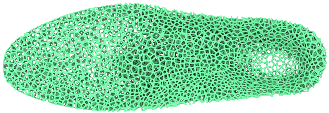 Naked insole design with lattices